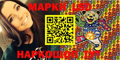 гидра Новозыбков
