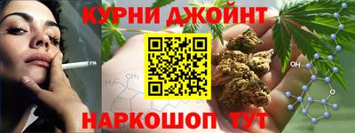 гидра Новозыбков