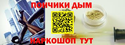 гидра Новозыбков