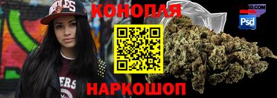 гидра Новозыбков