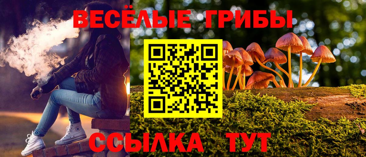 Галлюциногенные грибы Cubensis  Вход с VPN  закладки  Электросталь 